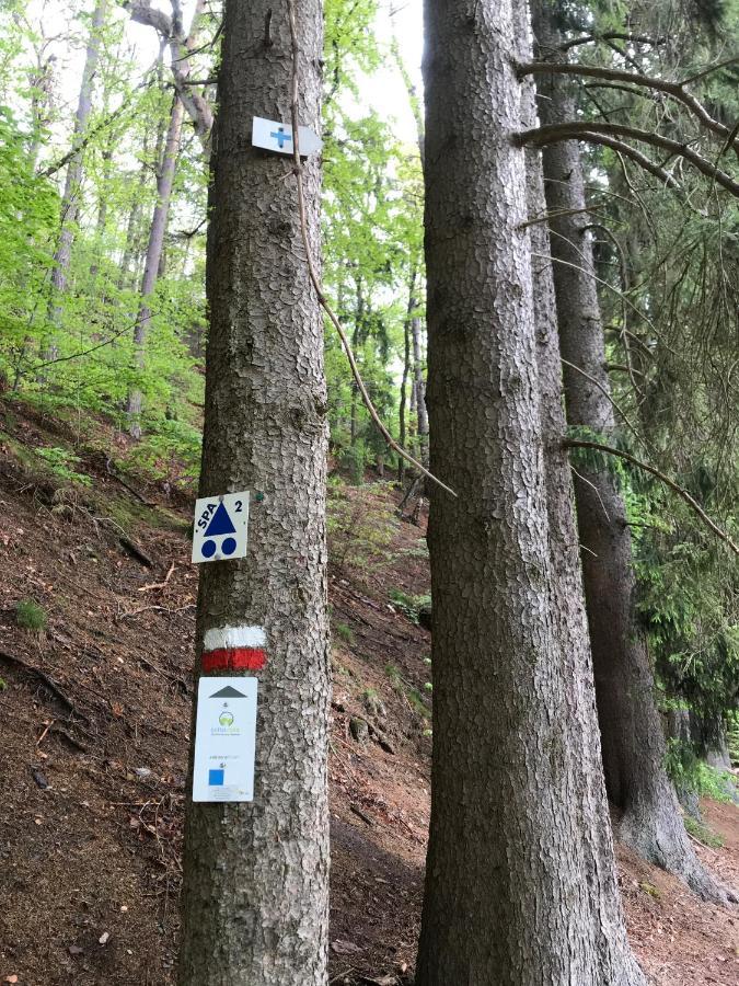 Studio & Appartement Au Lac Sart-lez-Spa Eksteriør billede